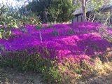 Onurkent fotoğraf albümü 3